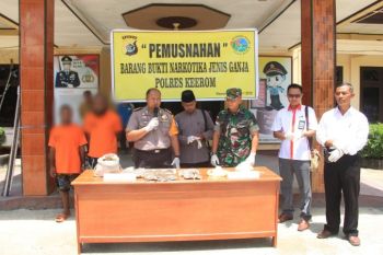 Polres Keerom musnahkan ganja hasil tangkapan Satgas Yonif 501 Kostrad