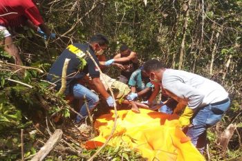 Tim SAR gabungan evakuasi ibu-anak tewas tergantung di pohon