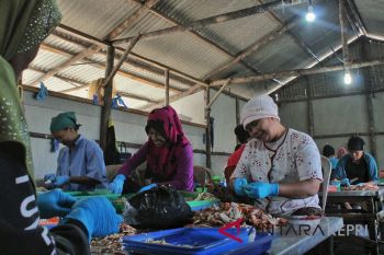 Ekonomi Kepri Triwulan III tumbuh 2.05 persen