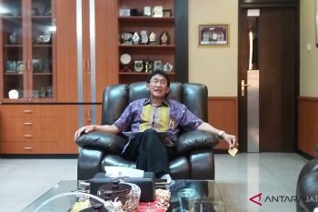 Penurunan tarif UMKM dongkrak penerimaan pajak
