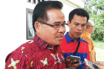 Tenaga honorer jadi 'Simalakama' bagi Pemkab Bartim, ini alasannya