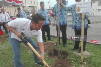 FH BUMN : Musim Tabebuya Akan Jadi Wisata Baru di Madiun