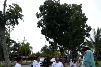 Tunjang pariwisata, Pariaman genjot pembangunan trotoar jalan