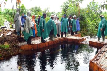 Ahli : Sekat kanal cegah gambut keluarkan gas CO2