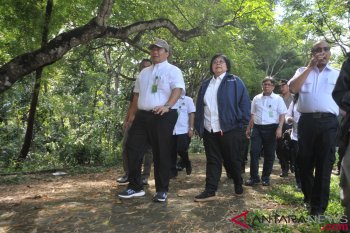 Indonesia to share best practices at climate change conference