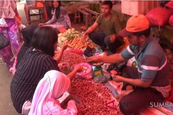 Harga bawang merah di pasar tradisional Pasaman Barat capai Rp35 ribu per kilogram