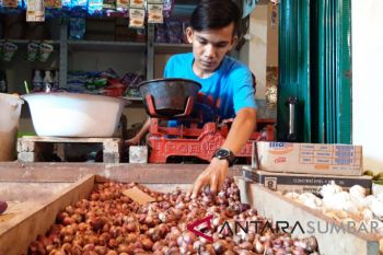 Harga bawang merah di Pariaman merangkak naik