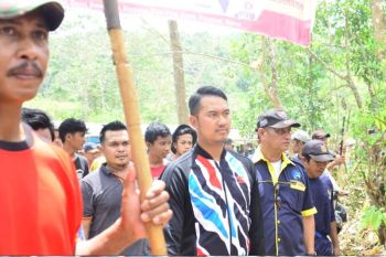 Bupati Sinjai apresiasi kebersamaan warga berantas hama tanaman