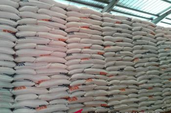 Bulog Sulteng gagal penuhi target pengadaan beras