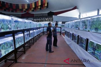 Boyolali tuan rumah Hari Ikan Nasional tingkat Jateng