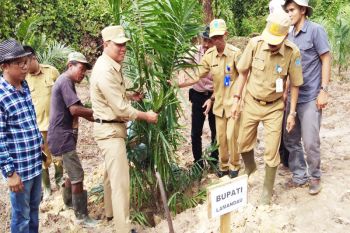 Pemkab Lamandau inisiasi nota kesepakatan plasma tanah kas desa