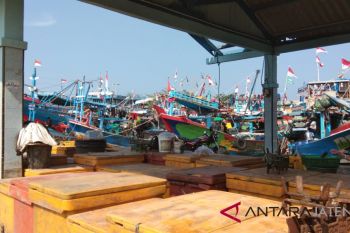Stok melimpah, harga ikan di TPI Pekalongan turun