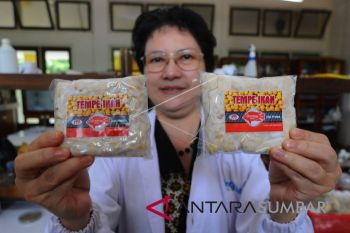 Inovasi makanan tempe ikan