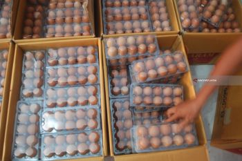 Warga Kembalikan Telur Bantuan Pangan