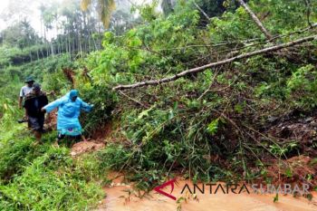 Jalan Agam-Bukittinggi kembali tertimbun material longsoran