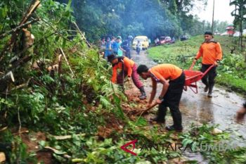 Jalan Padang Pariaman-Agam tertimbun material longsor
