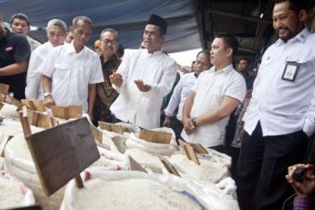 Mentan: pemerintah perhatikan peningkatan investasi dan ekspor