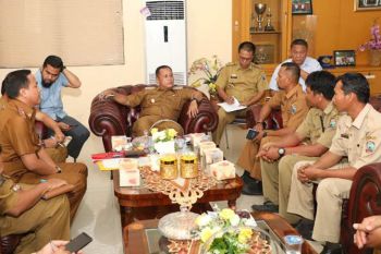 Honorer di Kabupaten Lampung Selatan 988 orang