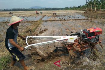Cilacap optimistis target 70 ribu hektare luas tanam tercapai