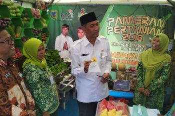 Tamzil janji promosikan komoditas pertanian unggulan