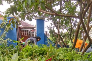 LLH jejak Indonesia siapkan 10.000 bibit pohon