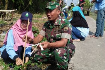 TNI-mahasiswa tanam 1.500 pohon penghijauan