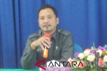 BPS: terdapat 4.753 desa tertinggal di Papua
