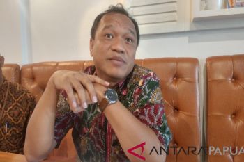 OJK: perusahaan asuransi di Papua kumpulkan premi Rp512,9 miliar