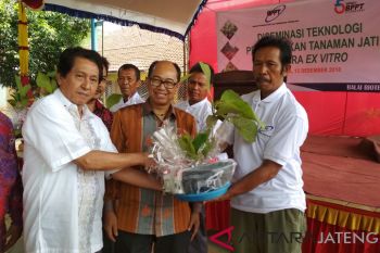 Sebagai Kota Ukir, Jepara didorong perbanyak tanam Jati