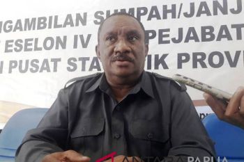 BPS: divestasi saham Freeport diharapkan berdampak positif bagi ekonomi Papua
