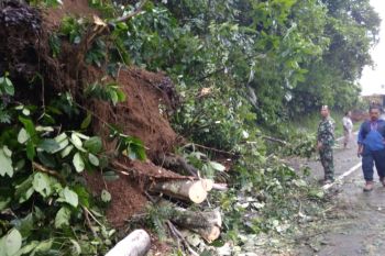 Tanah longsor kembali tutup badan jalan di Matur Agam