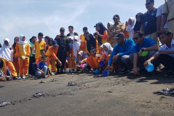 PLN Nusra lepasliarkan penyu di Pantai Mapak Mataram