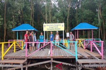 Pembangunan ekowisata mangrove Seruyan diharapkan dilanjutkan