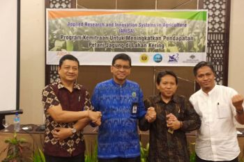 Unram-Bank NTB Syariah berhasil tingkatkan produktivitas jagung