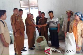52 CPNS IAIN Palu ikut seleksi kompotensi bidang