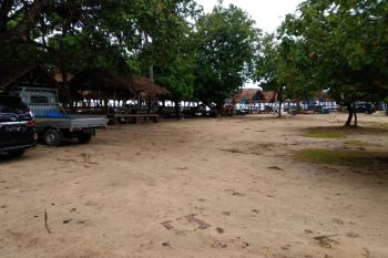 BMKG : Hindari Pesisir Pantai Radius 500-1.000 meter