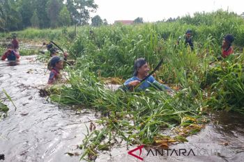 Bercebur bersihkan sungai, Supian Hadi sentil pengkritik kebersihan