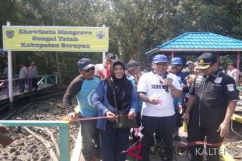 Pemkab Seruyan serius kembangkan ekowisata mangrove