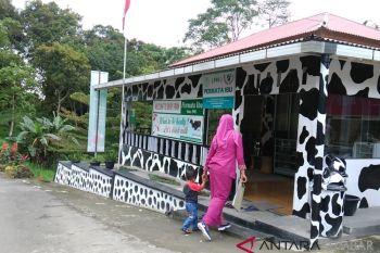 Melalui wisata edukasi, Padang Panjang mencoba tingkatkan penjualan susu sapi