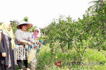 Dinas Pariwisata Kalbar mendorong pembentukan desa wisata unggulan