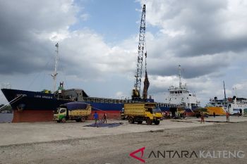 Serapan tenaga kerja Kotim belum sesuai harapan