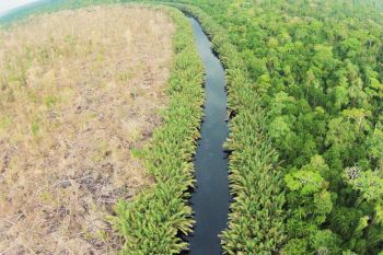 Norway offers assistance for landscape program of South Sumatra