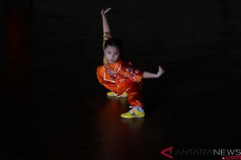 Indonesia targetkan dua medali emas dari Cabor Wushu pada Sea Games 2019