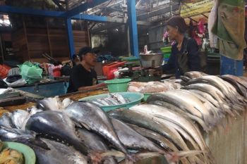 Pasokan Ikan Laut di Bojonegoro Mencukupi