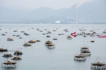 LIPI presents report on two decades of COREMAP implementation