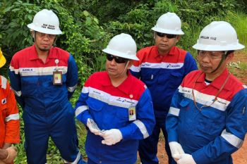 Menyingkap strategi PHE OK naikkan produksi