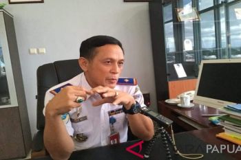 Penumpang dari Bandara Sentani meningkat sekitar lima persen