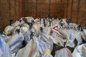 Tim penegakan hukum KLHK sita 96 satwa dilindungi