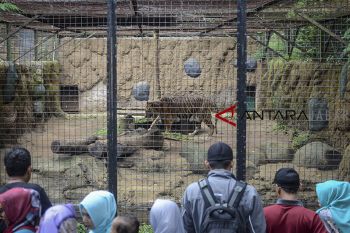 Target kunjungan Bandung Zoo