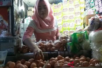 Harga daging dan telur ayam di Solo kembali melonjak
